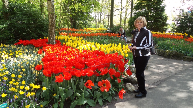 2014-04-17 Holland Tulips 68.jpg